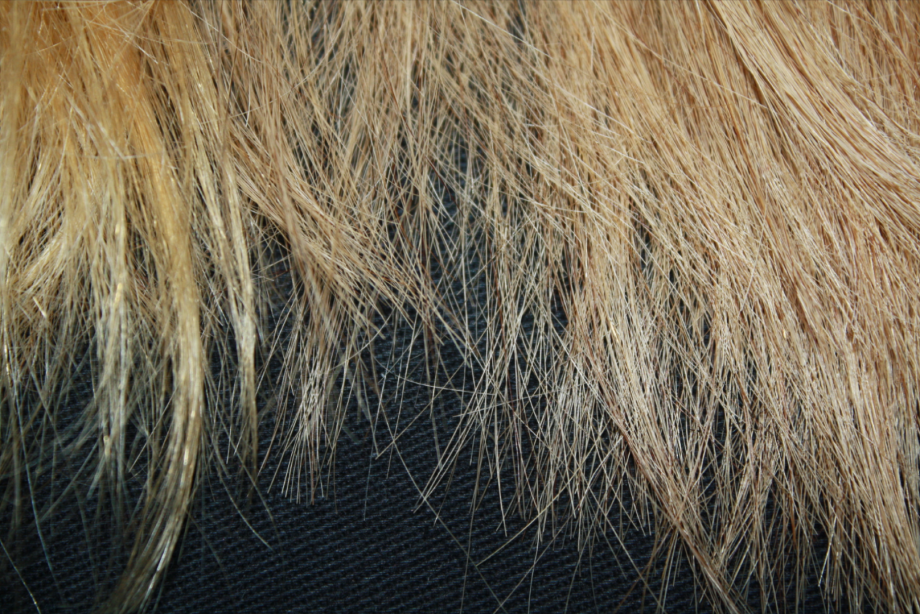 Dirty Looks extensions