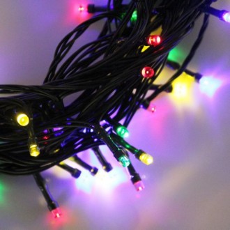 £50 Giveaway With Christmas Tree World