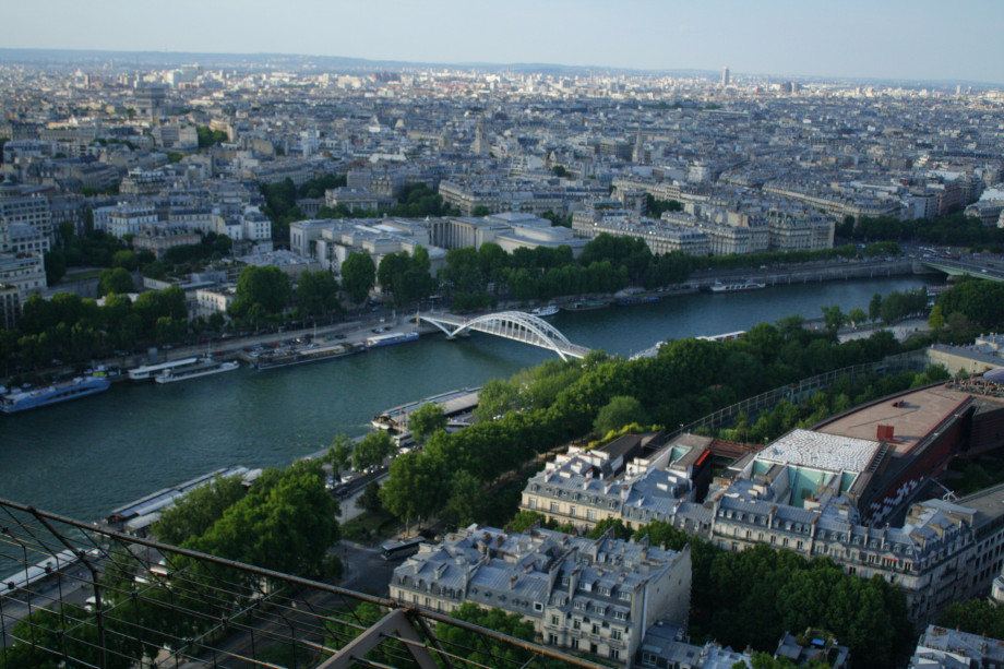 Eiffel Tower view